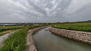 乡村河道风景