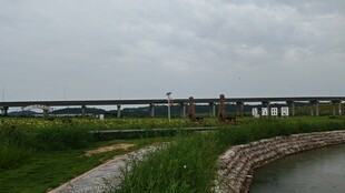 河畔长桥与绿意景观