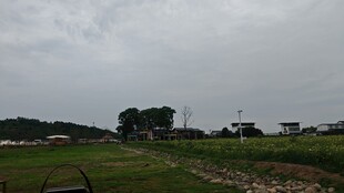 阴天乡村田野景象
