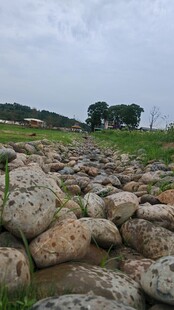 野外石滩