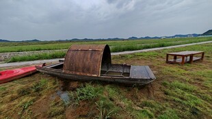 田野中的老旧木质运输工具