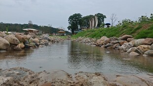 河边风景
