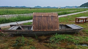 田野中的古朴木质小船
