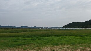 阴雨天的广袤草原远景