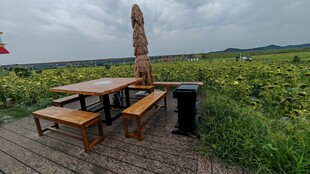 户外田园风木质桌椅景观