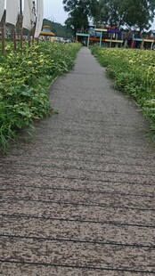 田野木板小径