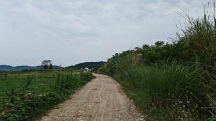 乡间小路