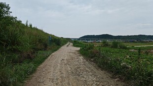乡间土路