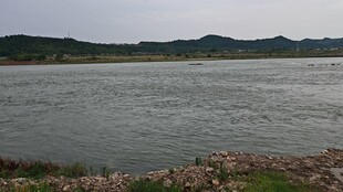 大河风光