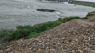 河边景致