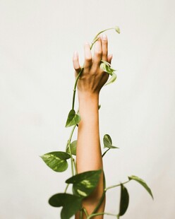 手与绿植的自然融合画面