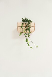 墙上绿植装饰架