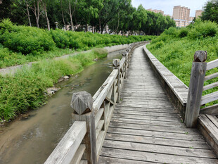 林间木栈道
