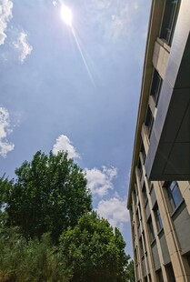 阳光下的建筑与绿树