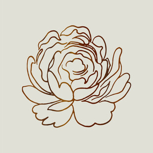 简约线条优雅装饰花纹牡丹花