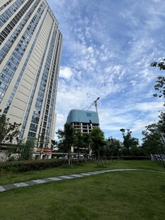 城市高楼旁的绿地景观