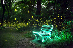 发光长椅