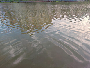 水面波纹中的建筑倒影