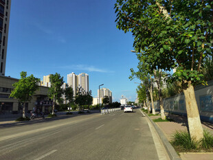 城市街道绿树高楼景象