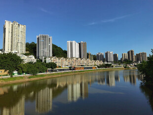 河畔高楼美景