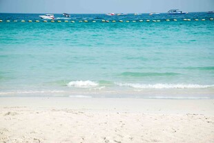 美丽海滨沙滩海景画面