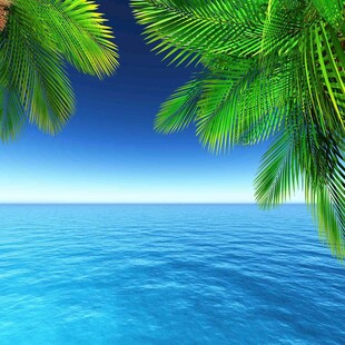 海边椰影下的蔚蓝海洋