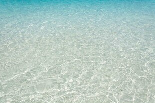 清澈见底的浅海海水