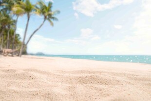 美丽沙滩与椰树海景