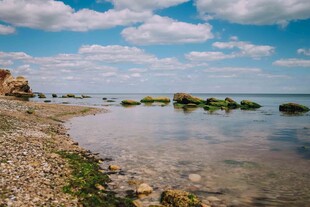 宁静海边的清澈浅水景象
