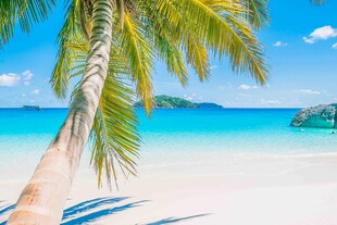 美丽热带海滩风光