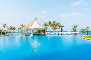 热带风情泳池美景