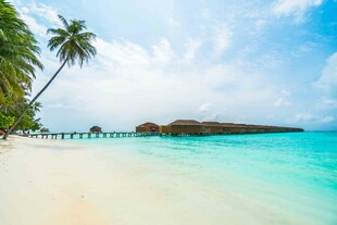 美丽热带海滩风光