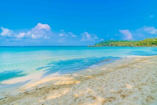 美丽海滨沙滩风景