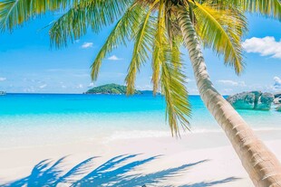 美丽热带海滩风光