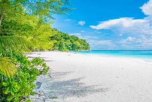 美丽热带海滩风光