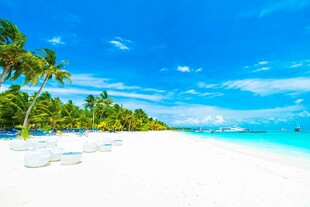 美丽热带海滩风光