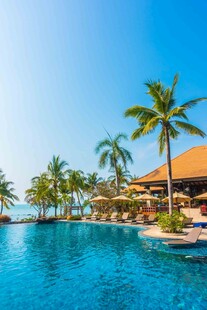 热带泳池畔的惬意风光