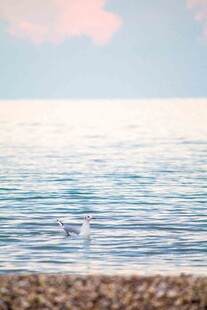 波光粼粼的海面