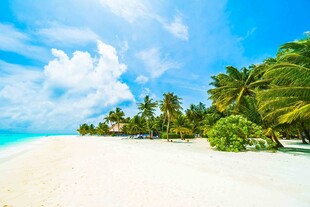 美丽热带海滩风光