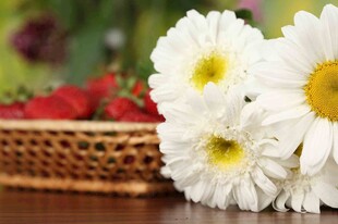 雏菊与草莓的清新组合