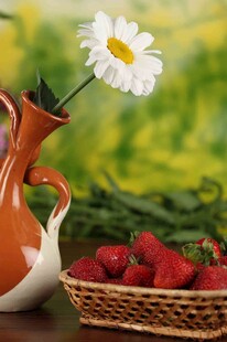 花瓶雏菊与草莓静物图