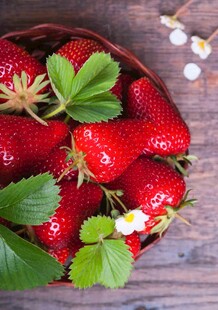 木盘里的新鲜红草莓