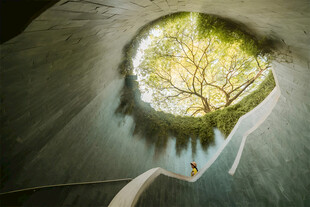 地下空间中的绿意景观