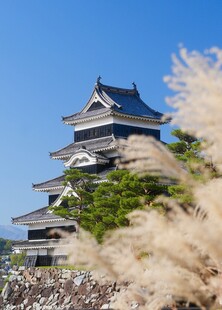 日本松本城风光