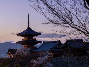 日式古塔与传统建筑景观