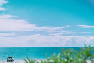 绿植与碧海蓝天