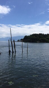 宁静水域中的木桩景观