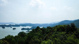 湖光山色中的葱郁景致