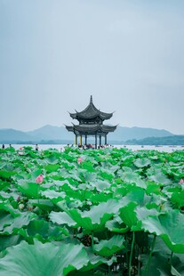 荷塘中的古典亭阁