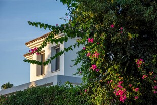 绿植环绕的清新白色小屋